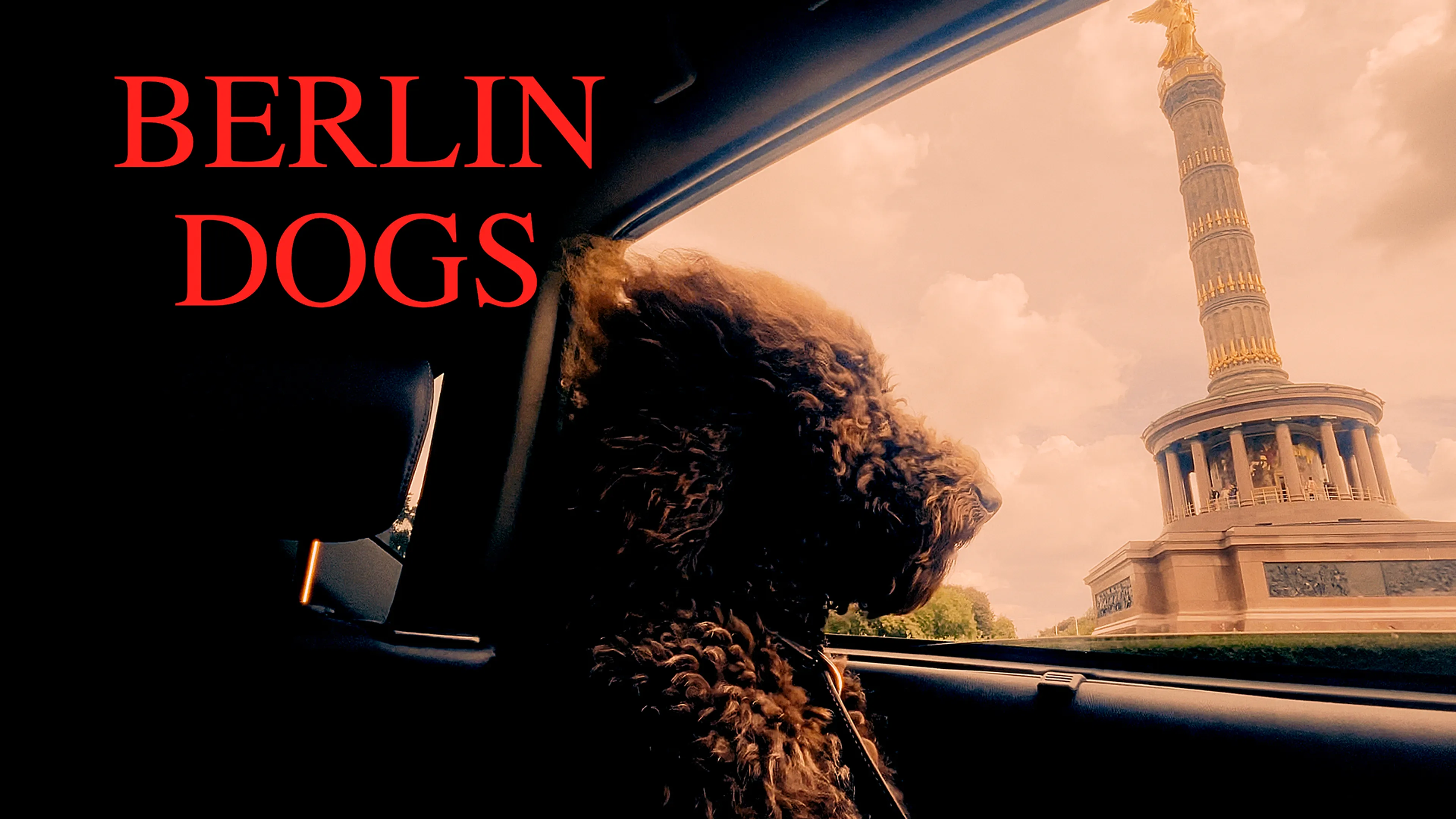 Berlin Dogs poster